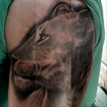 thumbnail (19).jpg